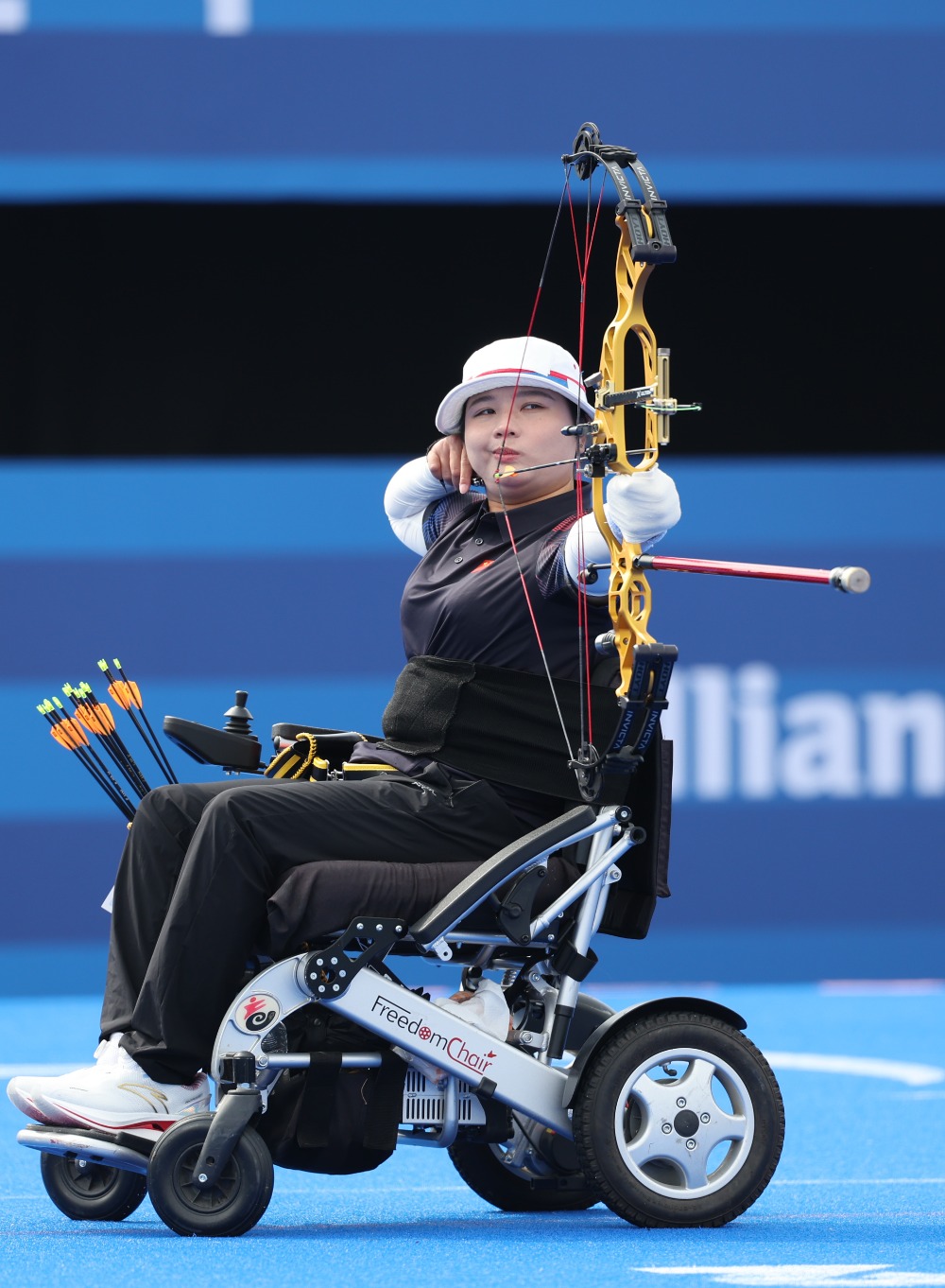 德国射箭选手箭无虚发，夺魁称雄！的简单介绍