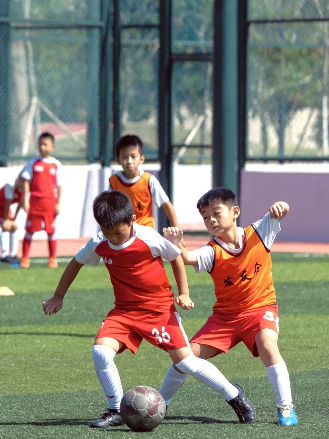 球队精神焕发,场上呈现一幕幕紧张刺激的对抗 球队精神焕发,场上呈现一幕幕紧张刺激的对抗