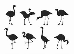 火烈鸟客场告捷，防守坚韧压垮对手 