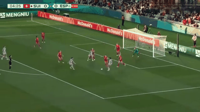 荷兰女足队员受伤离场，球队损失惨重的简单介绍